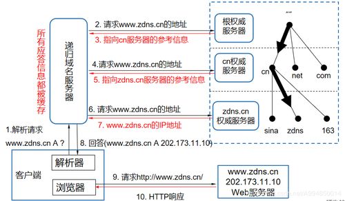 域名系統(tǒng)(DNS) 互聯網的“電話簿”——起源、原理與服務解析